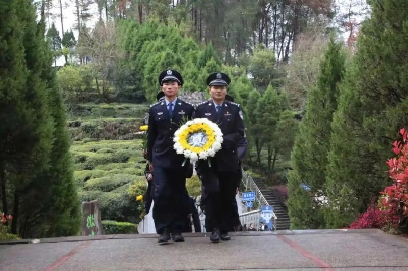 苍松翠柏间，他们向英烈致敬……